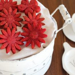 Biscotti alla barbabietola – senza glutine, senza lattosio, senza burro e uova