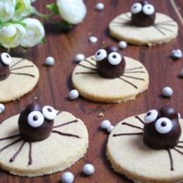 Ragni di frolla e cioccolato – senza glutine e senza lattosio