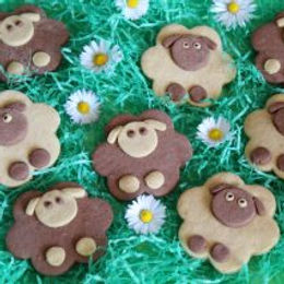 Biscotti pecorelle bicolore – senza glutine e senza burro