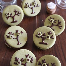 Biscotti con frolla al Tè Matcha farciti con nutella – senza glutine e senza burro