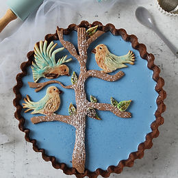 Crostata della merla al cioccolato e spirulina – senza glutine