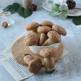 Funghi di frolla – senza glutine