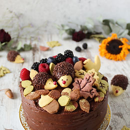 Torta sottobosco al cioccolato e spezie – senza glutine e senza lattosio