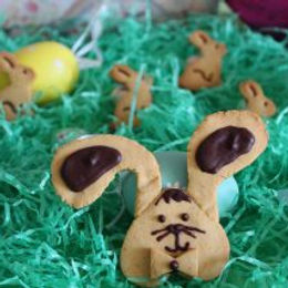 Biscotti coniglietto al cioccolato – senza glutine e senza burro