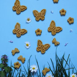 Biscotti farfalle alla curcuma – senza glutine e senza burro