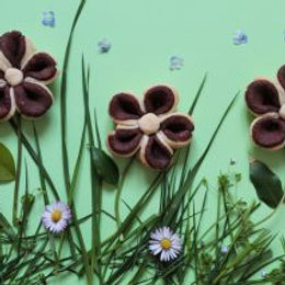 Biscotti floreali bicolore – senza glutine e senza lattosio