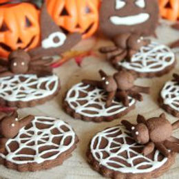 Biscotti tela di ragno alle nocciole, cacao e cannella – senza glutine e senza burro