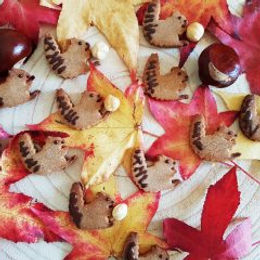 Biscotti scoiattolo alle castagne e Fonio – senza glutine e senza burro